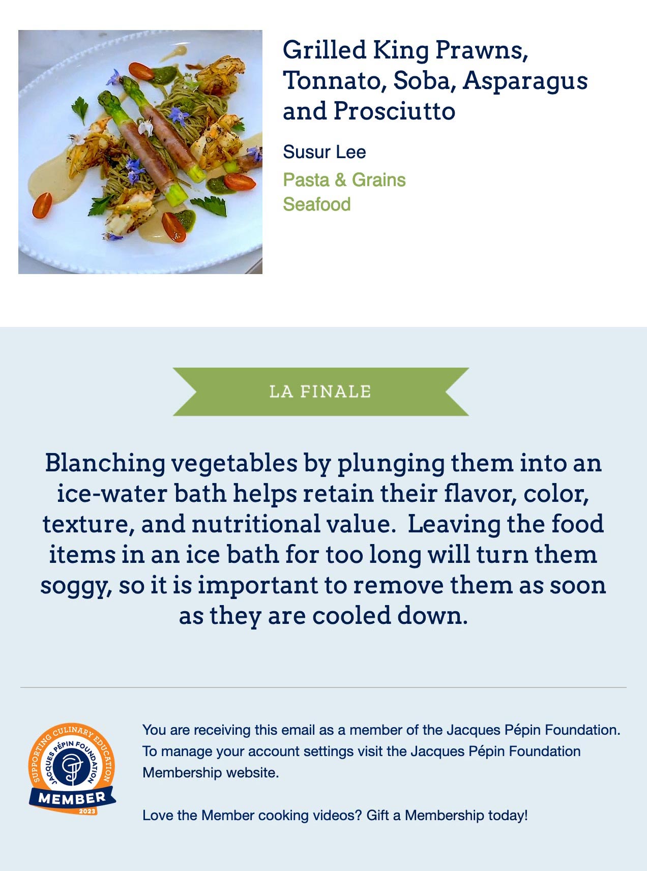 Video Recipe Book newsletter